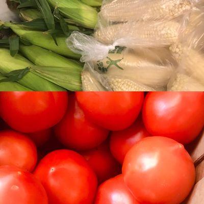 Fresh Jersey Corn and tomatoes.