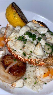 Seafood pan Seafood Panroast