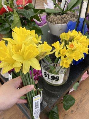 They sometimes have deals on daffodils $1.99 for a bunch of 10 stems