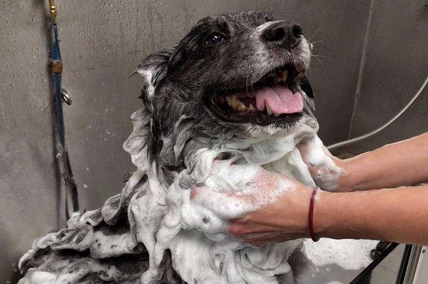 Bella LOVES baths!