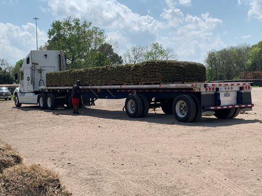 Delivering sod!