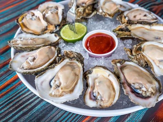 Oysters on the Half Shell