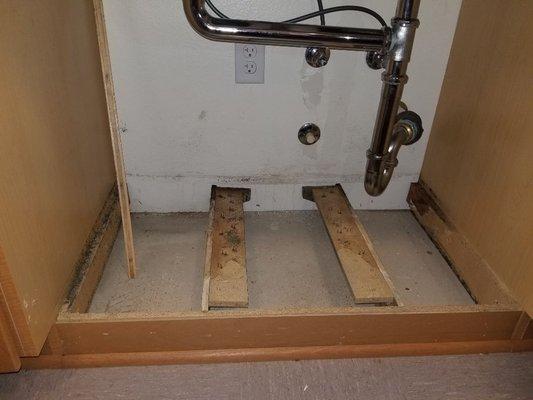 Mold under sink.