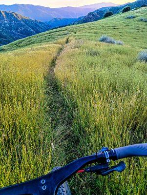 Santa Barbara County backcountry singletrack