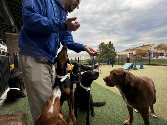 Camp staff play with dogs and take time to introduce new activities.