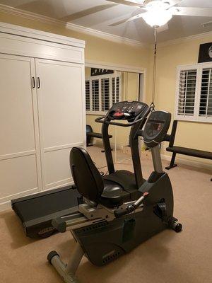 With the wall bed up and the gym equipment spaciously situated