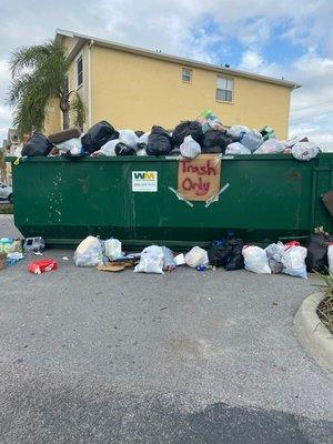 So much trash, we were forced to hold our trash in our apartments.