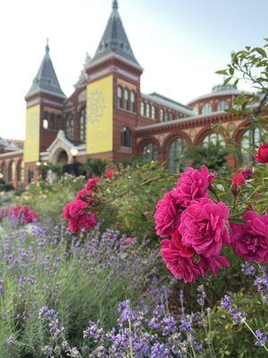 Katherine Dulin Rose Garden