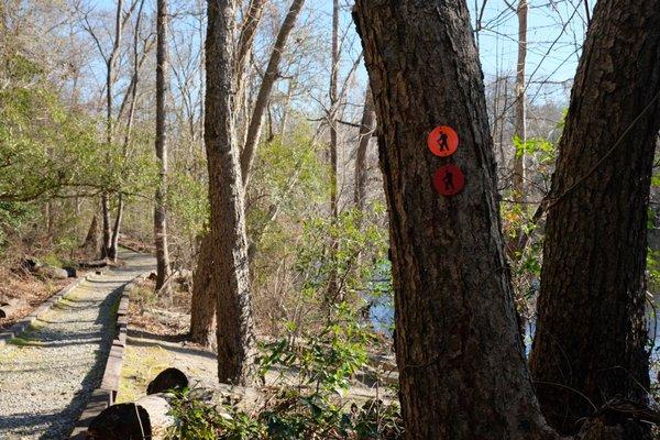 Griffin's Bluff Trail blazes and path