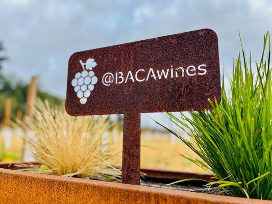 @BACAWines