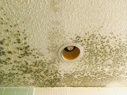 mold found on bathroom ceiling