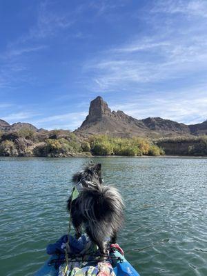 Kayak trip with my dog.