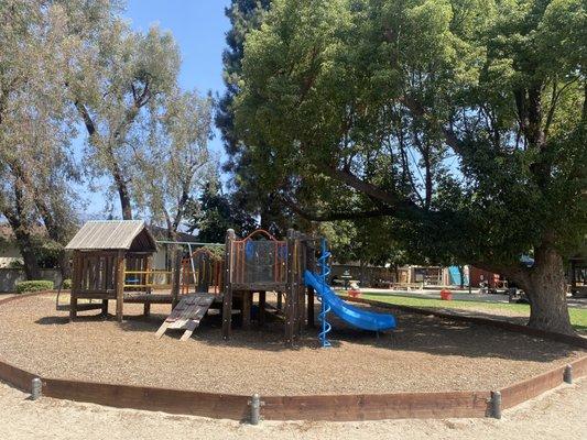 A glimpse of our main yard. The children love this yard for the bugs, mud kitchen, music area, and the opportunity to explore.