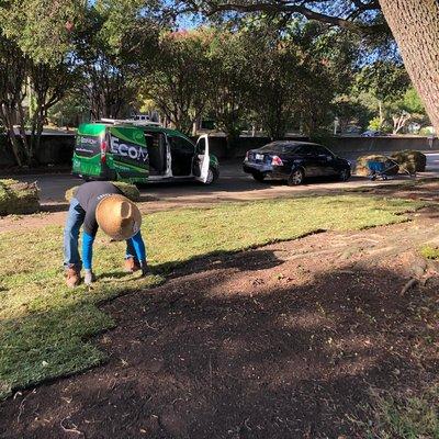 Sod Installation