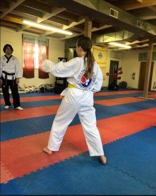 Lee's Taekwondo Class and Martial Art