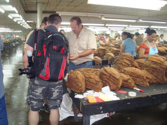 Christopher Mey of Rocky Patel Premium Cigars explains the sorting and selection process in El Paraiso, Honduras.