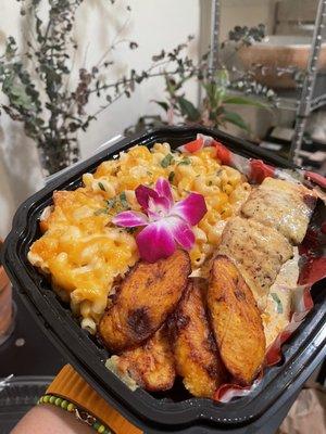 Salmon & Mac n Cheese