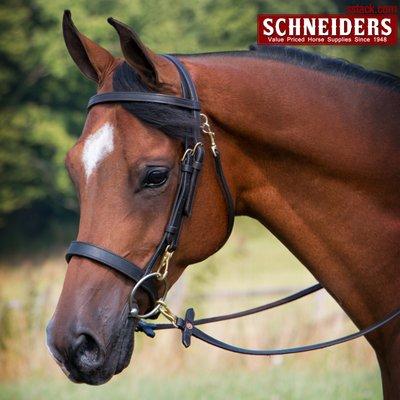 Find training tack from Schneider Saddlery at sstack.com!