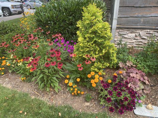 Garden at grille