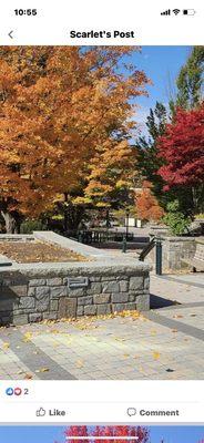 Beautiful campus in the fall