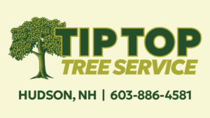 Tip Top Tree Service in Hudson New Hampshire.  Contact us at 603-886-4581 to get started!