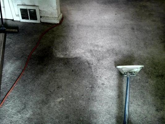 D-Lux Carpet Cleaning