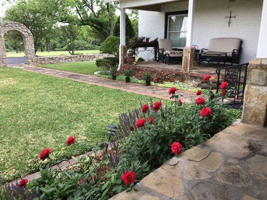 In front of The Liberty Suite's porch in May.  Sometimes we have trouble w the deer eating them.     They are beautiful when in bloom.