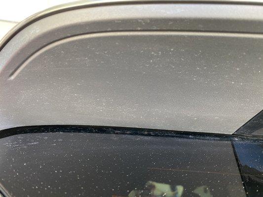 Back window and wing completely filthy with pollen all over.