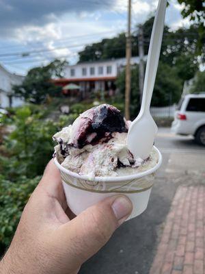 Blueberry pie ice cream? I love you..