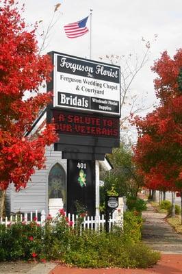 Sign in Fall