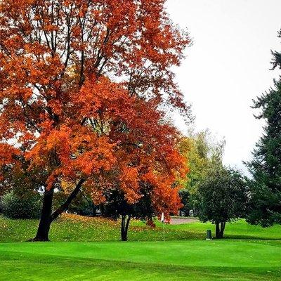 "Fall" in love with golf at The Children's Course!