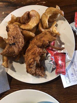 Chicken tender and fries