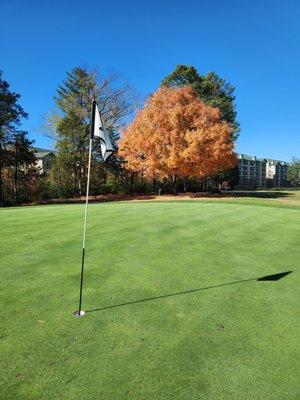 Beautiful fall day on front half