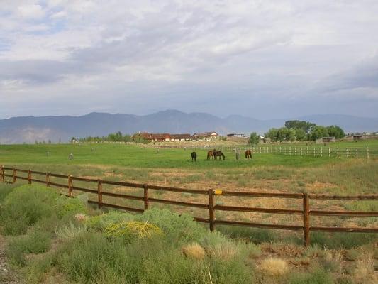 We have both grass pastures and dry lots with 14 x 36 shelters and heated waterers. Vitamin supplement included in board.