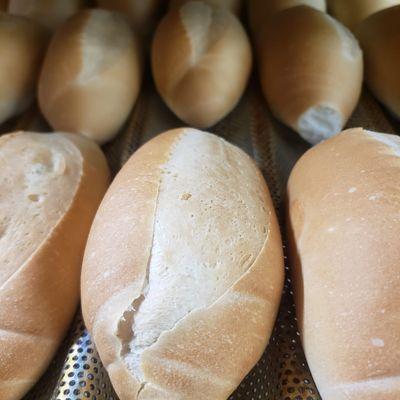 French bread, pan frances