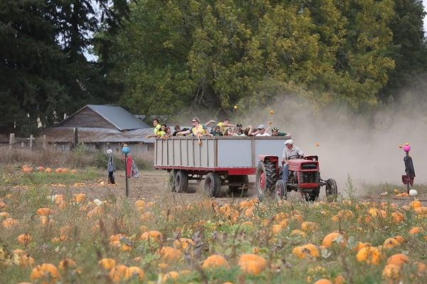 Walt's Wild Wagon Ride at Johnson Farms in Eugene, Oregon