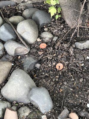 Circle pins left on ground