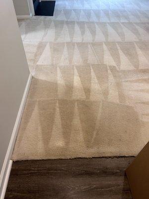 Hippo Carpet Cleaning - Rockville