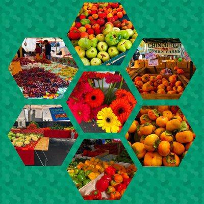 Montage of images from El Cerrito Plaza Farmers' Market