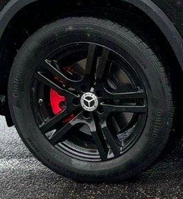 Black Gloss w/Red Calipers