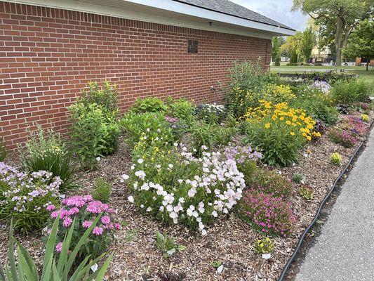 Gorgeous variety of flowers