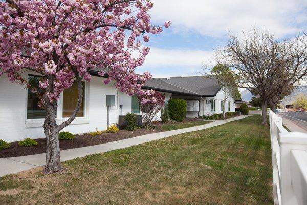 Cherry Tree Office, Orem, UT