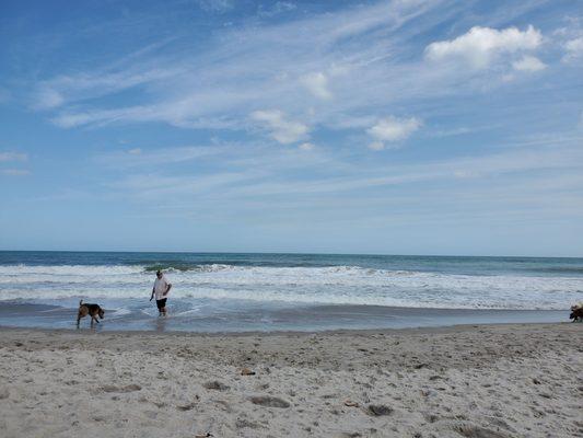 Relaxing at the dog beach!!!