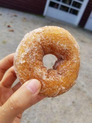 Apple Cider Donut