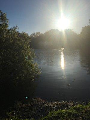 Pond fountain sunset