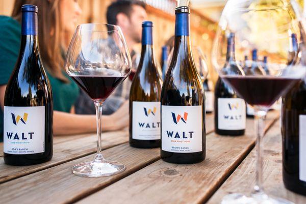 WALT Wines Sonoma 