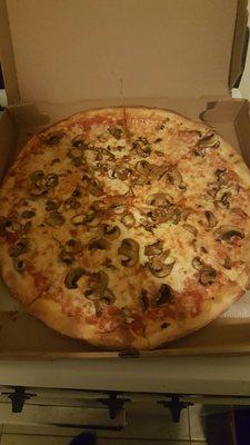 Mushroom pizza