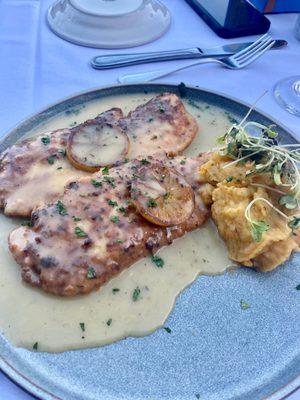 Parm crusted chicken with lemon sauce & carrot infused mashed potatoes