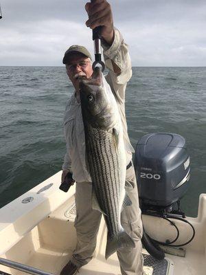 Nice Striper on light tackle