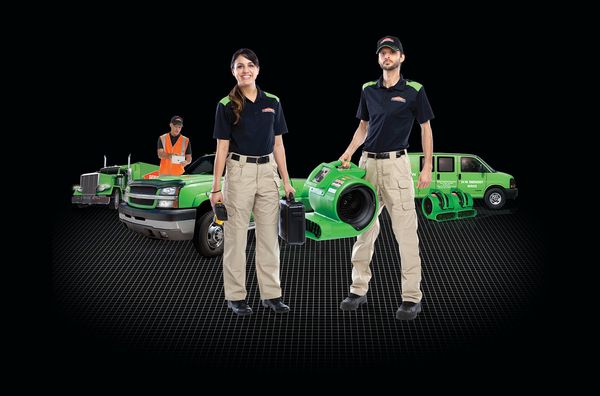 SERVPRO of Glastonbury / Wethersfield most sought-after solutions is upholstery cleanup, building services and cleaning services.